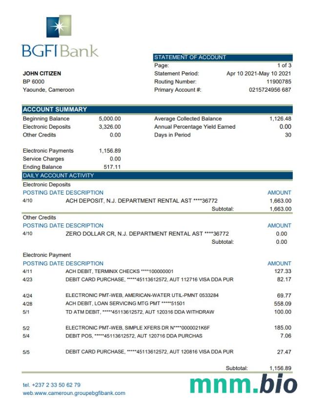 Szablon wyciągu bankowego z Kamerunu BGFI, format Word i PDF